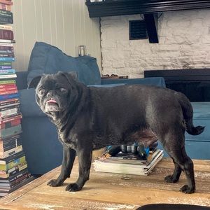 Meet your Posher, Jeffrey